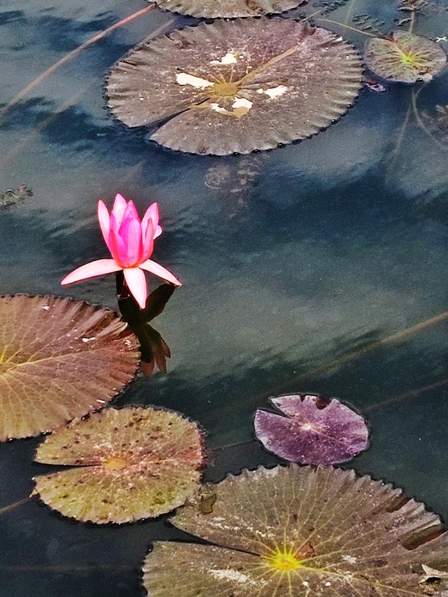 南行漫记：离开南充走G318到达遂宁，驻车圣莲岛营地