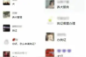 政策解读丨在滨州怎么办理养犬登记？一文读懂图片