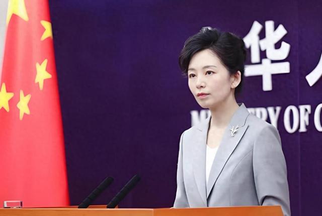 得罪中国知道错了，荷兰停止接管中企，请求来北京面谈，中方准了