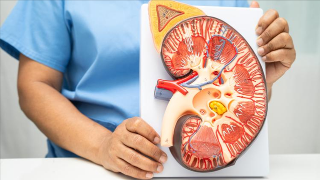 一天10次！48岁男子确诊肾衰竭，妻子痛哭：劝了多次都不听