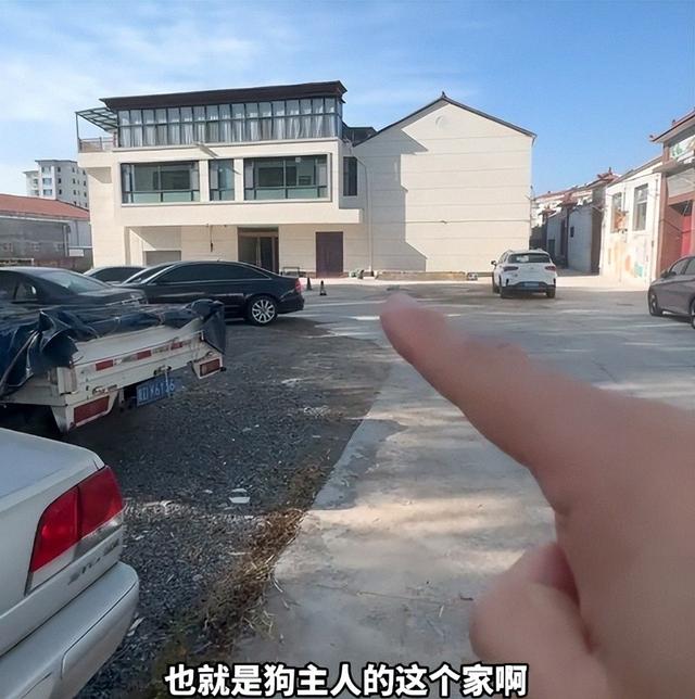 山西摔犬反杀案，律师一句话问住法官：天黑时	，你还敢去现场吗？
