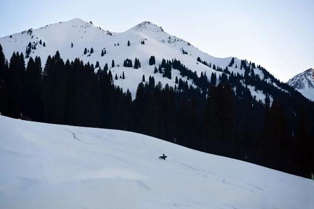 如要选一个冬季最佳拍雪景的地方,首选一定是它