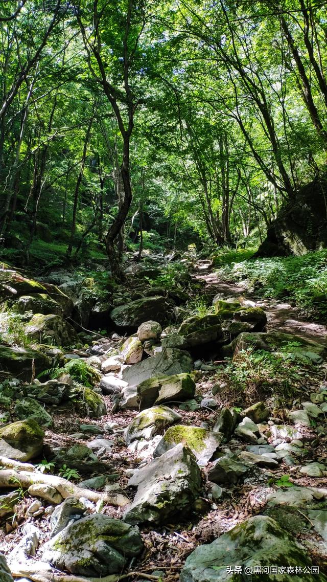 西安周边 | 这个秋天不可错过的宝藏旅行地！