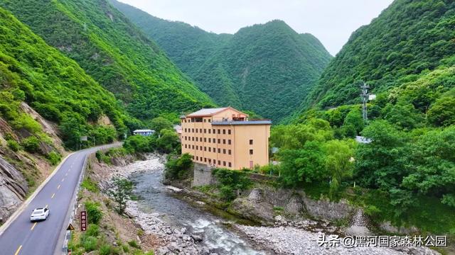周末避暑好去处|走进绿意森呼吸,邂逅山间清凉