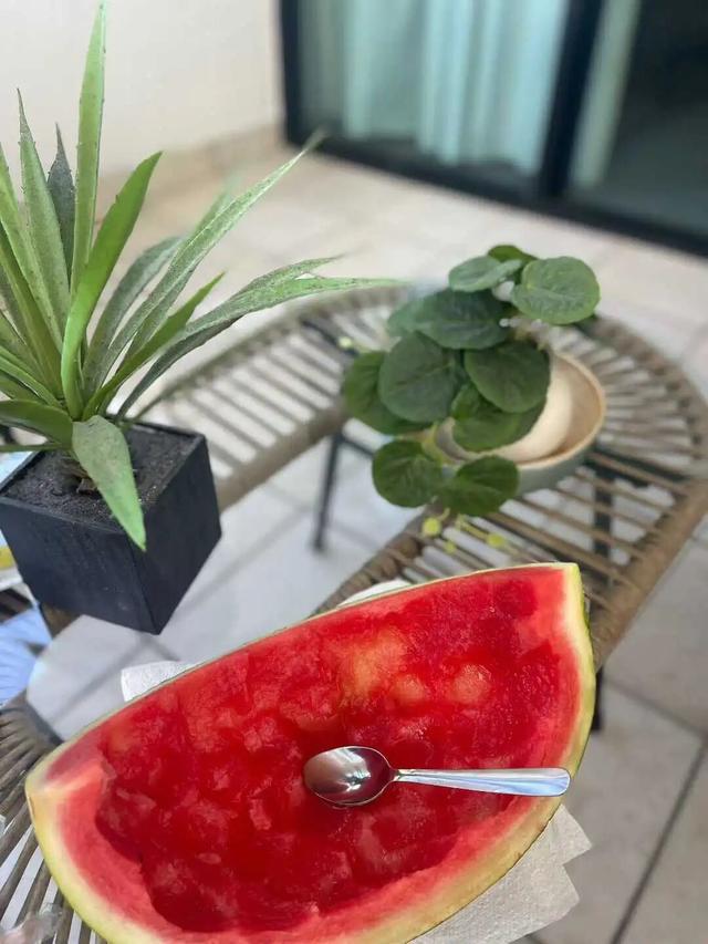 路上·布里斯班 ‖ 又出来赚小时来了