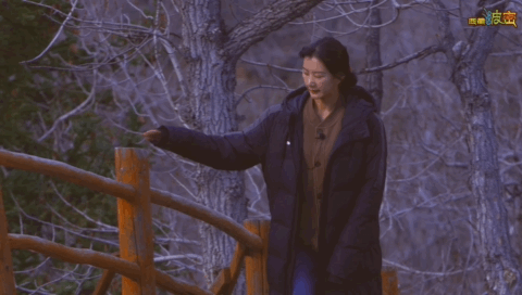 秘境波密：冰川闪耀杉林如画湖景醉人