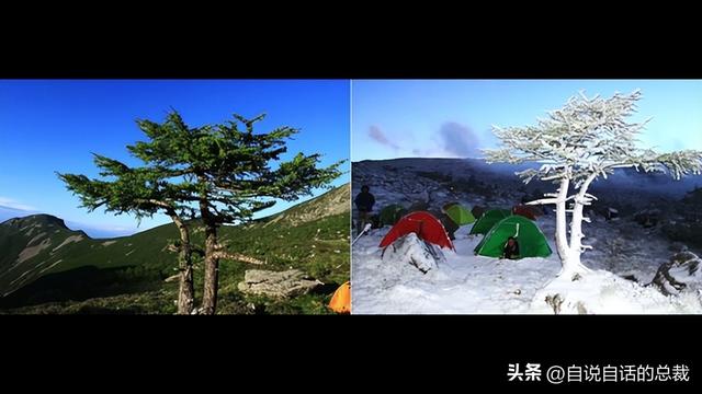 鳌太线：诡异到被封禁的中华龙脉，地处秦岭之上却比珠峰更加凶险