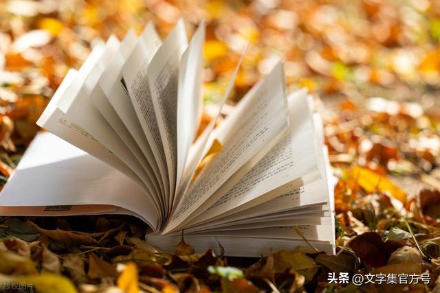 30条治愈系旅行文案，又短又高级，发朋友圈秒赞！附图