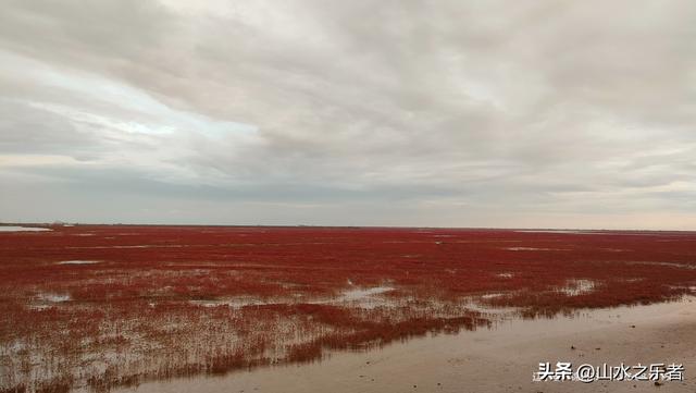 环游大东北之漫步锦州凌海红海滩