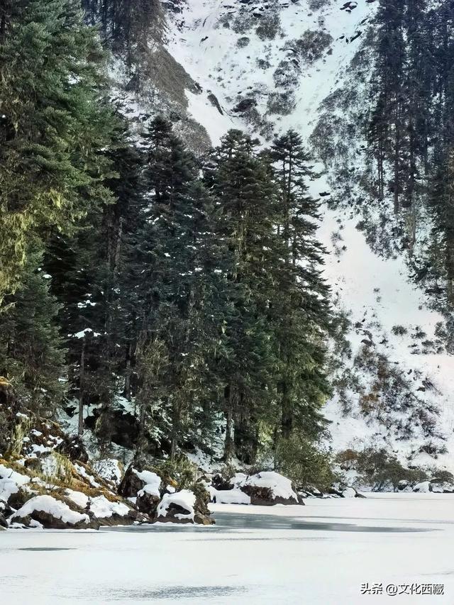 一路太多美景！离开浪浪山，去西藏这里开启一场山野漫游！