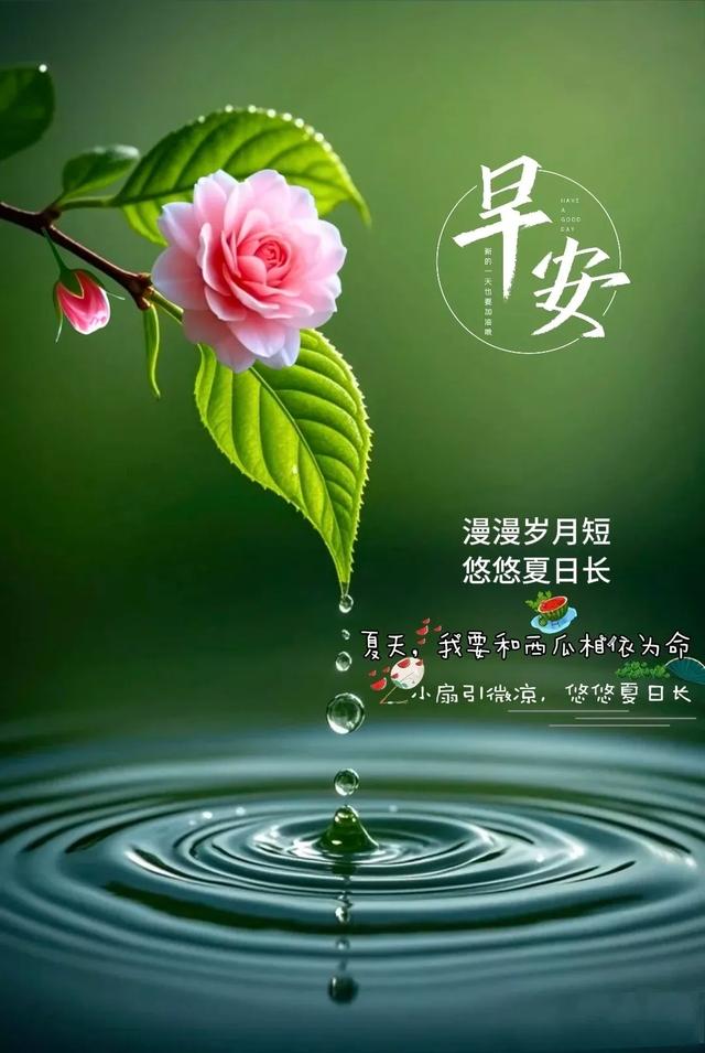 早上好早安祝福美图/静观天边云卷云舒，笑看庭前花开花落