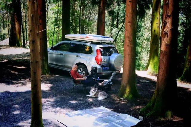 “趣”南川，野一“夏”！南川露营地全攻略，藏着夏日清凉答案→