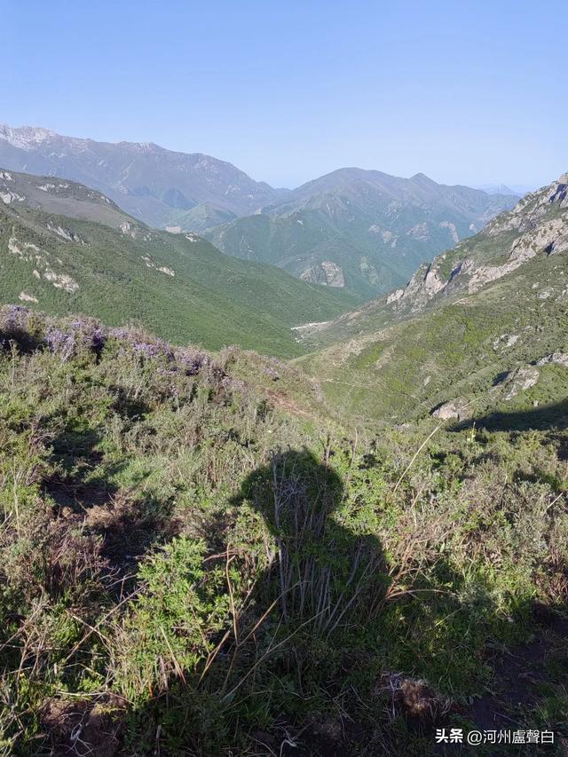 成功登顶母太子山