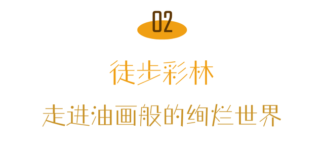 喇叭河五彩斑斓的秋天，就这样闯闯闯入视野！