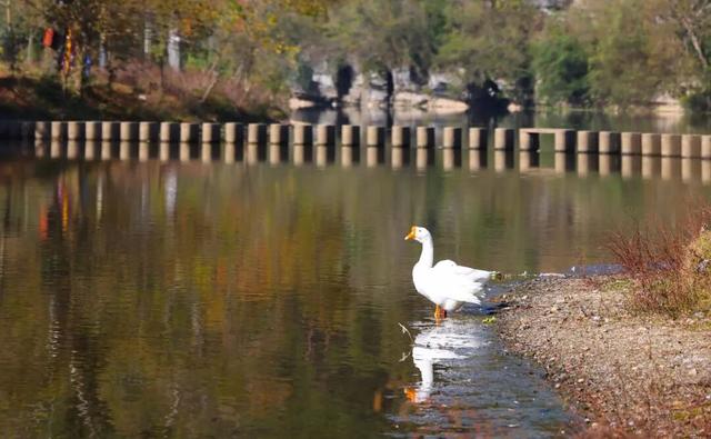 锦屏雷屯：山河冬色醉人意