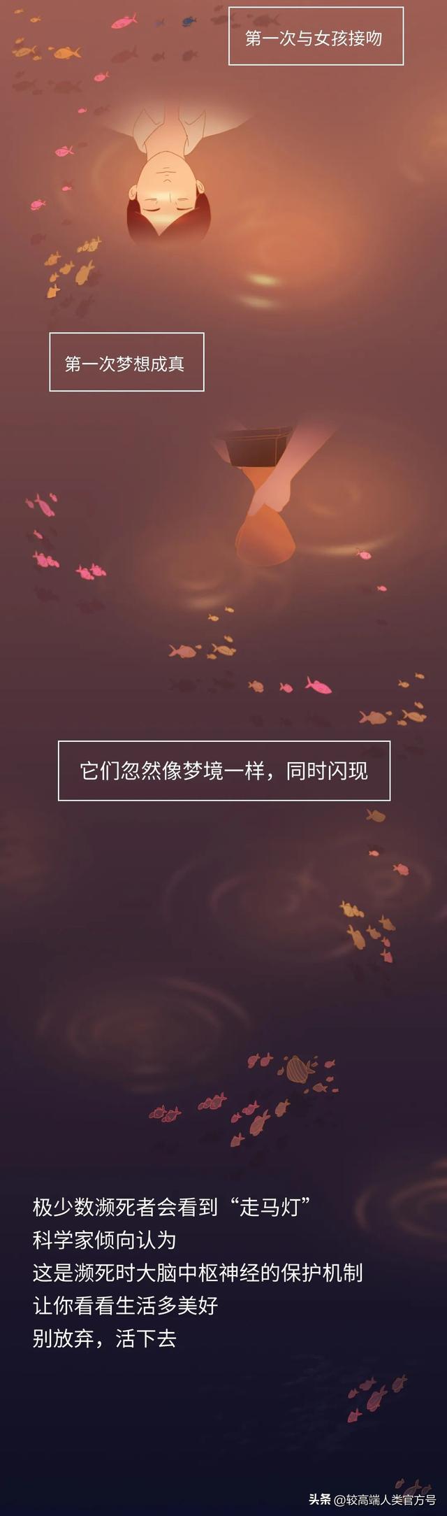死亡前的30秒，人会看见什么？
