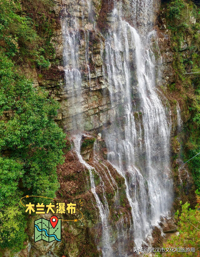 马上过节，免票！