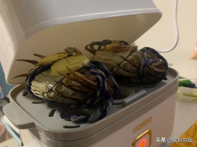 被“邪修的蒸蛋器用法”惊住了，思路打开以后，根本就停不下来