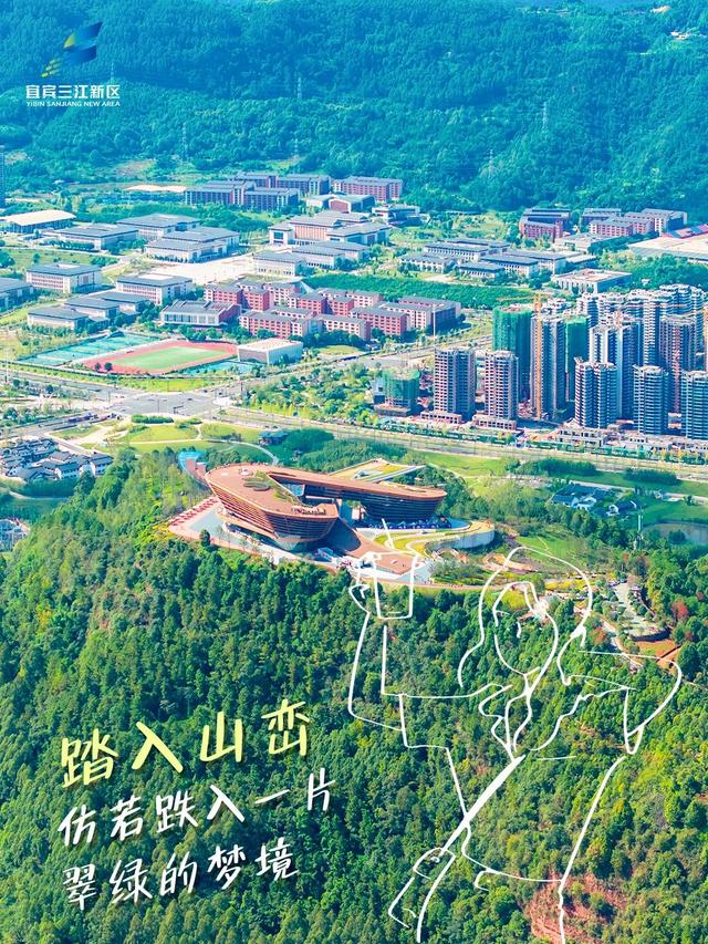 八月的新区tree tree的🌳🎋🌴🍃