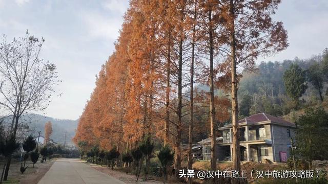 汉中洋西路自驾邂逅冬日限定美景！