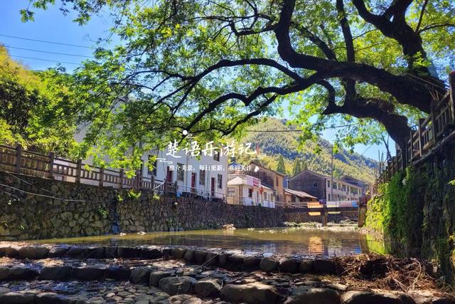 浙江宁波的山间古村，特色民宿藏在树林之中，溪水中流成玩水胜地