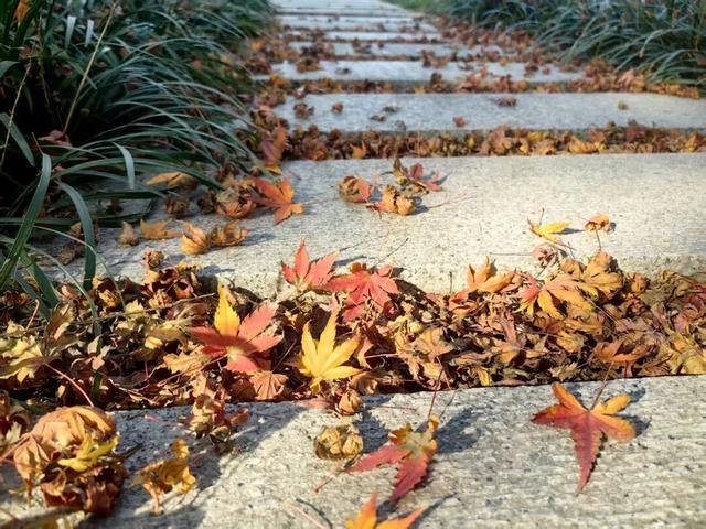 4个点位已公布！太仓人拍照请抓紧