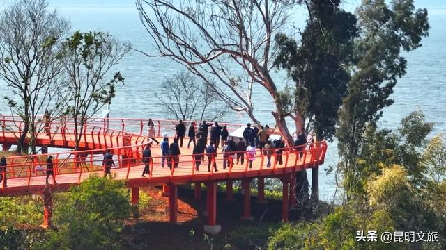 在晋宁，遇见冬日滇池绿道，邂逅诗意山水田园