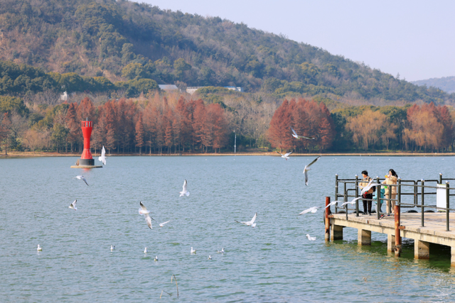 免费！无锡“巨无霸”公园火了