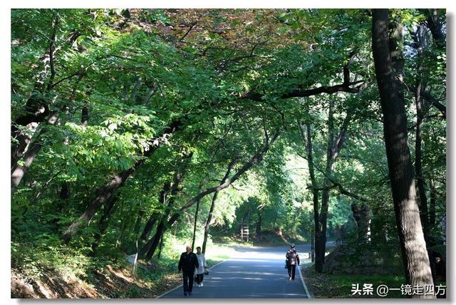 沈阳东陵郊野公园“精灵”出没