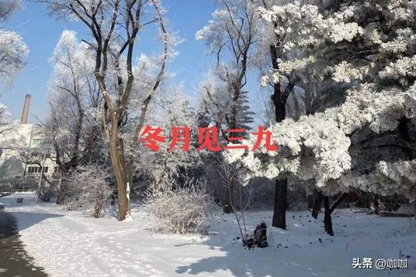 1月8号入三九，今年三九不一般	，60年一遇，3大特点，早看早知道