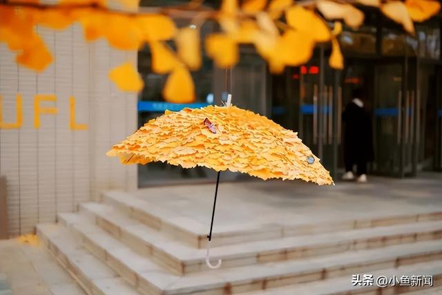 金色的苏州，开始了！