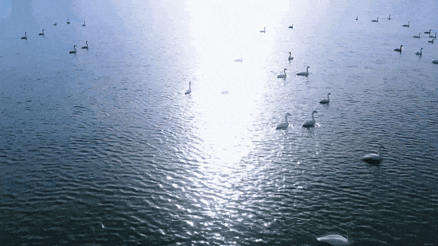 很多人没去过！渭南氛围感拉满的4个秘境