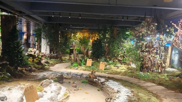 乘着高铁游白山 | 带您踏上一场“铸魂砺志”的红色研学之旅
