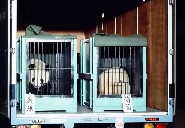 中国再出手！下令直接收回，日本迎来历史性告别，高市后悔来不及