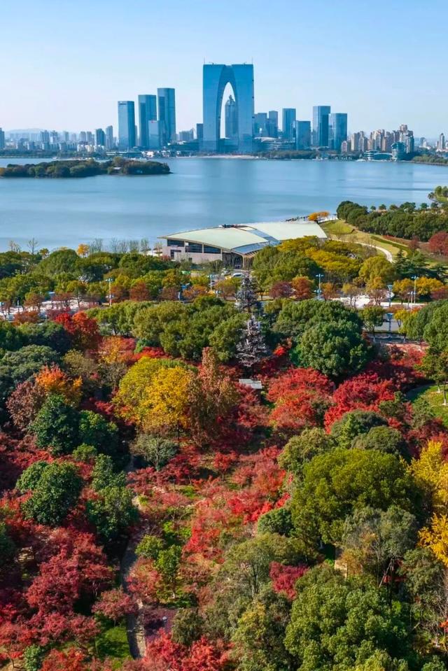 苏州处处的皆景！美！美！美！