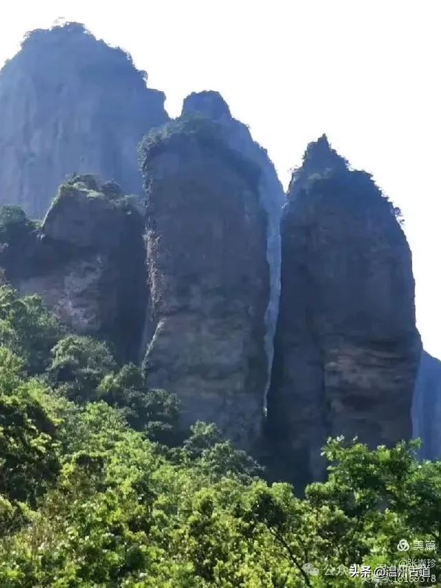 探秘雁荡三绝之一的绝美风光！来一次深度游~