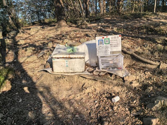 南京紫金山郊野徒步