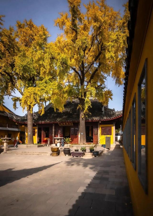 苏州处处的皆景！美！美！美！