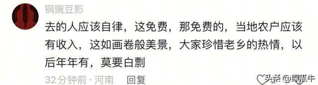 陕西彬州柿子火出圈，啥啥都免费，结果网友们不乐意了