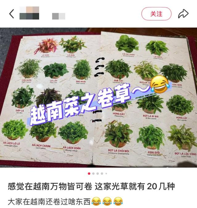 地理冷知识—越南的吸管