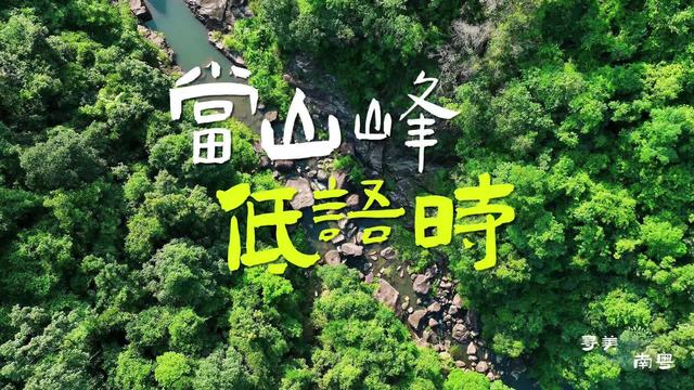 在广东绿美保护地，人与自然彼此治愈 | 寻美南粤⑥
