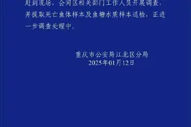 重庆警方通报“江北一公园观赏鱼池大量观赏鱼死亡”：正进一步调查处理图片