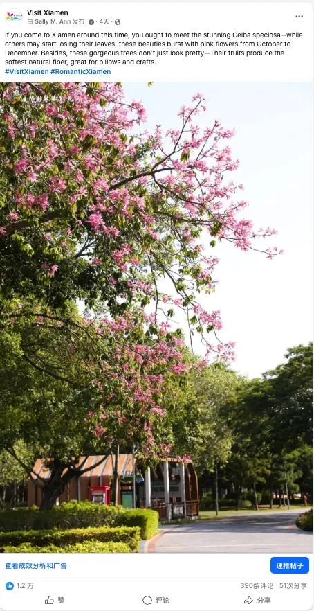 “高端旅游”全球案例!“厦门实践”闪耀国际交流舞台→