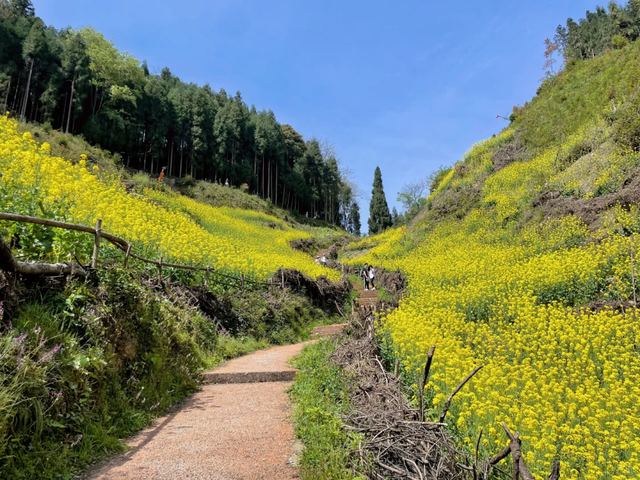 成都1.5h直达的冷门徒步秘境，小众景美独享山野！