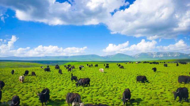 最适合看星空的 9 大地点，我把茶卡盐湖排在第 3，阿里暗夜公园第 7