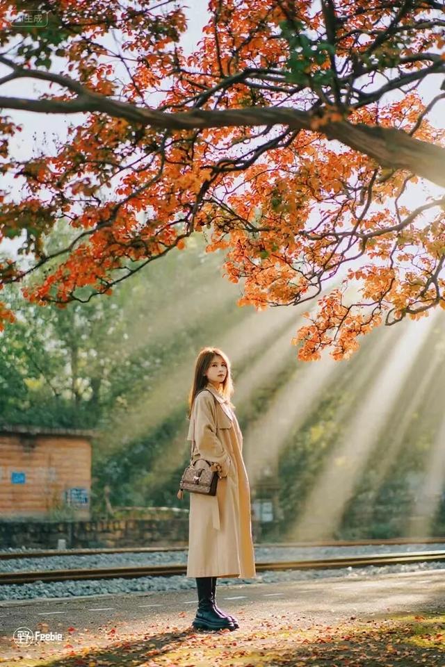 2025利州秋色，每一帧都是限定浪漫