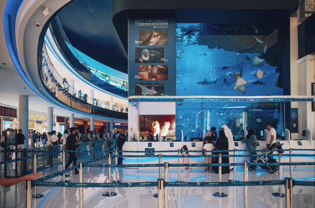 跟着土豪航司和旅游局一起去旅行，也太爽了吧！