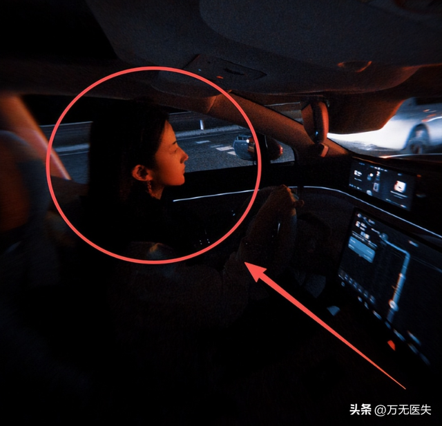 刘亦菲国庆自驾新动态！新车新狗有寓意，目的地引8000万网友竞猜