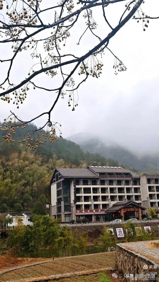 富春江边的风情小镇！可享隐世慢时光，还能徒步古道，值得一去！