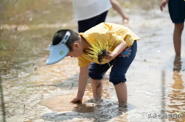 暑假如何安排？N款研学游推荐，让孩子边玩边成长！